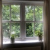 Photo 2: Bedroom Window View