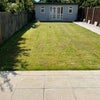 Photo 8: New, sunny, low maintenance garden.  Large, sunny patio for sun bathing/alfresco dining. Glittering 
