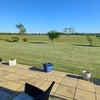 Photo 3: Garden and patio