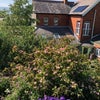 Photo 5: Back Garden