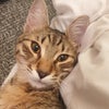 Sophie\'s picture