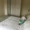 Photo 3: room 2