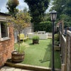 Photo 3: Garden