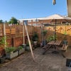 Photo 6: Back Garden