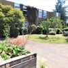 Photo 16: Rear Garden 