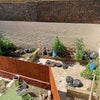 Photo 5: This was last year when we were doing a bit of gardening!