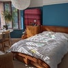 Photo 2: the room