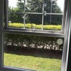 Photo 6: view from window