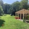 Photo 4: our garden