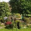 Photo 9: Garden