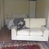 Photo 5: Lounge and bedroom areas 