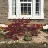 Photo 3: front garden