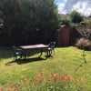 Photo 8: Back garden