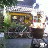 Photo 6: garden 2