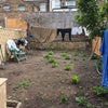 Photo 5: Big Patio