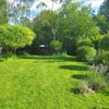 Photo 6: Garden