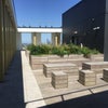 Photo 3: Roof top garden