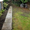 Photo 9: Garden