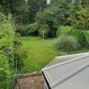 Photo 2: Garden backs on to common