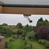 Photo 4: View from room Window
