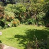 Photo 6: Garden