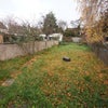 Photo 6: Garden