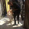 Adrian\'s picture