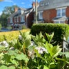 Photo 2: Lovely quiet residential street