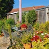 Photo 6: Rear Garden Patio