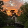 Photo 4: View from my property