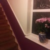 Photo 2: stairs