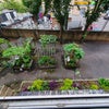Photo 7: Rear of property