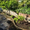 Photo 7: Garden