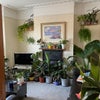 Photo 3: Living room