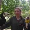 Photo 9: Hornbills!