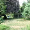 Photo 7: Back Garden