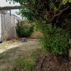 Photo 5: The garden