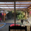 Photo 6: Backgarden