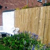 Photo 4: garden