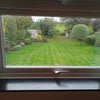 Photo 3: garden view