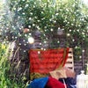Photo 4: shared garden
