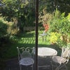 Photo 9: Back garden