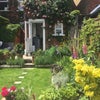 Photo 4: Cottage garden