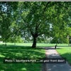 Photo 10: Amazing Southwark Park …..1 min from front door!