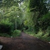 Photo 5: Direct access to Ashdown Forest