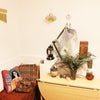 Photo 7: shared living room