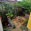 Photo 7: Garden