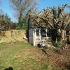 Photo 9: view of back garden