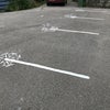 Photo 8: parking bays