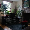 Photo 4: The reception room